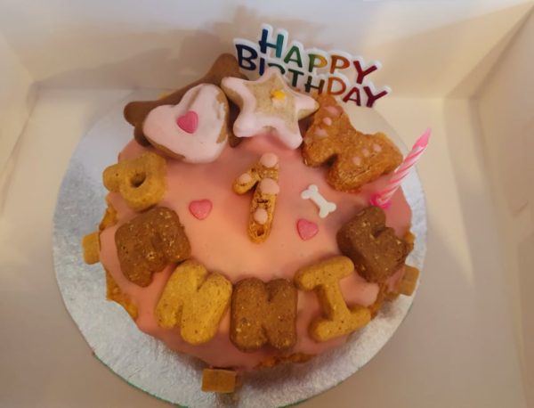 Dog Birthday Cake