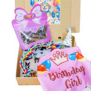 Dog Birthday Party in a Box