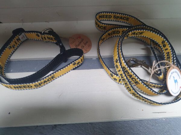 Handmade I Need Space Collar