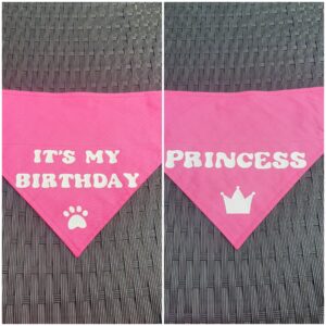 Handmade Slide on Collar Reversible Pink Birthday Bandana