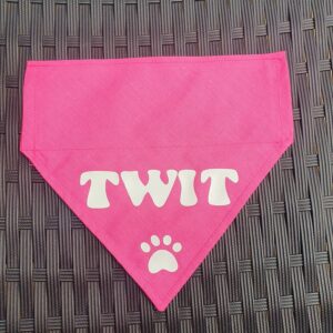 Handmade Slide on Collar Twit Bandana
