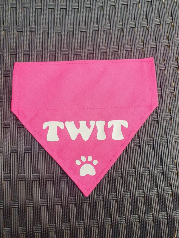 Handmade Slide on Collar Twit Bandana