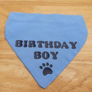 Handmade Blue Birthday Boy Slide-On Collar Bandana