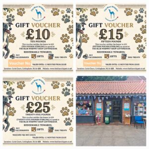 Blue Whippet Gift Vouchers